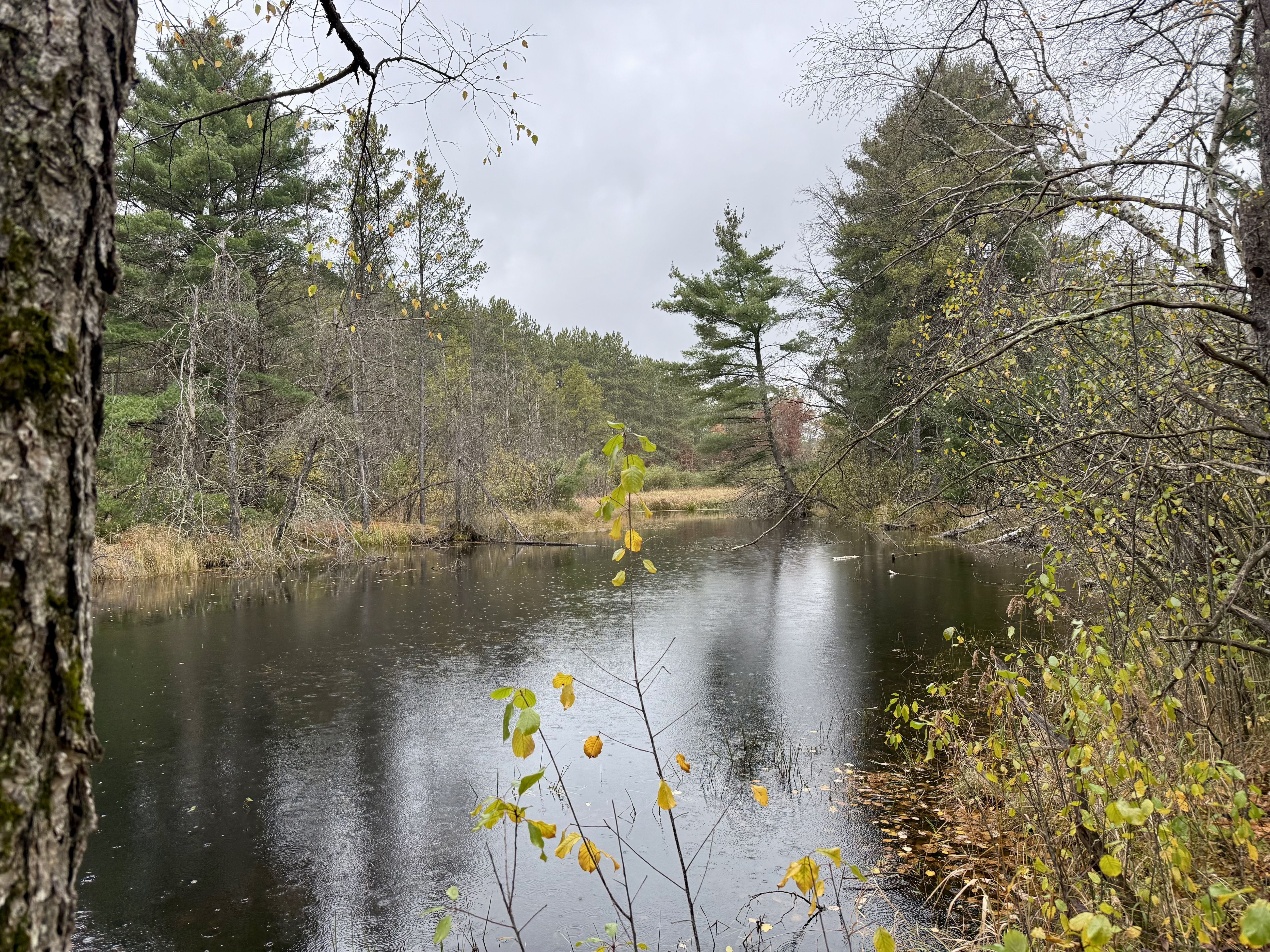 Listing Photo: Photo Oct 21 2025, 1 30 16 PM